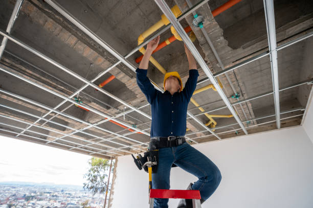 Best Plumbing Repair Near Me  in Applewood, CO