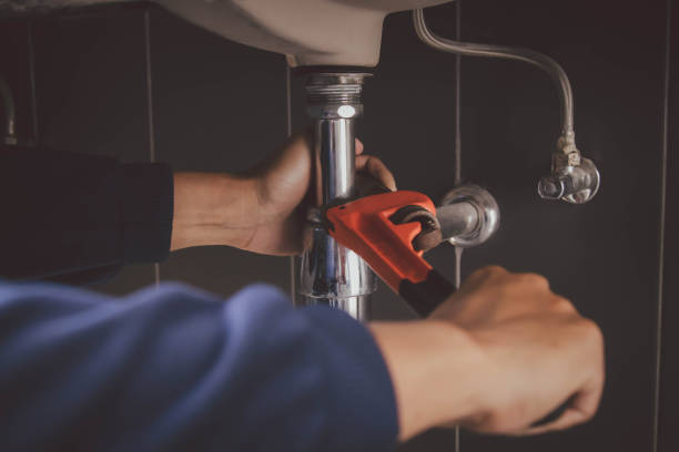 Best Plumbing Inspection Services  in Applewood, CO